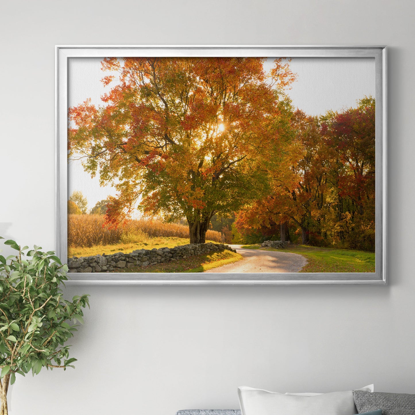 Maple Tree Drive Premium Classic Framed Canvas - Ready to Hang