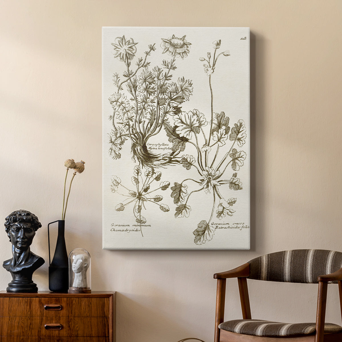 Sepia Botanical Journal IX - Canvas Art Print