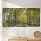 Three-panel canvas wall art featuring tree lined forest road photograph, displayed in a minimalist living room above a console table.