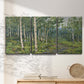 Three-panel canvas wall art featuring woodland forest scene with tall trees, displayed in a minimalist living room above a console table.