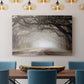 Timeless Plantation Drive - Canvas Art Print