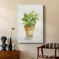 Succulent I - Canvas Art Print