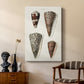 Cone Shell Collection I - Canvas Art Print