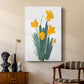 Daffodil Bunch II - Canvas Art Print