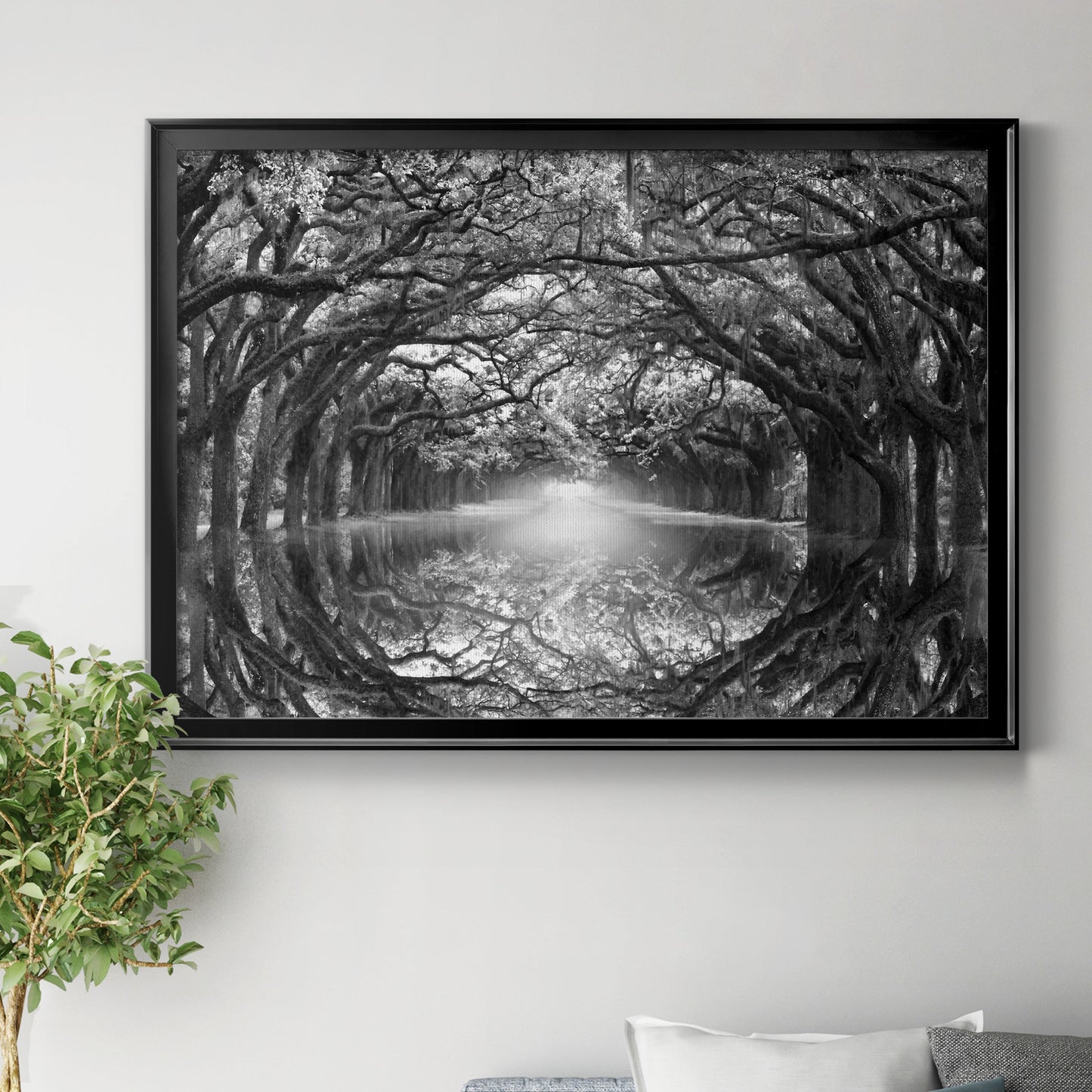 Oak Alley Reflection Premium Classic Framed Canvas - Ready to Hang