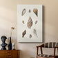 Knorr Shells & Coral IX - Canvas Art Print