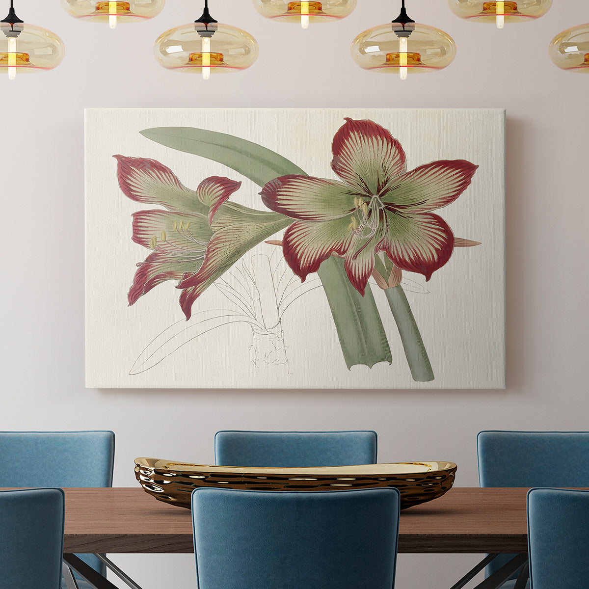 Amaryllis Varietals IV - Canvas Art Print