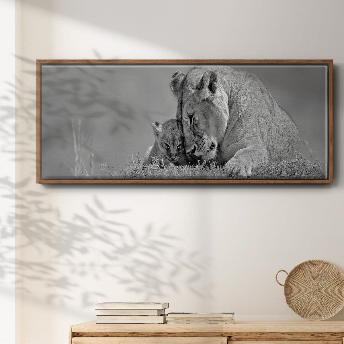 Lioness Love - Floater Framed Canvas Print