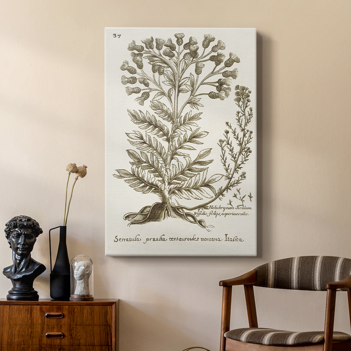 Sepia Botanical Journal I - Canvas Art Print