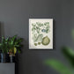Buchoz Tropicals VIII - Restickable Framed Art Print