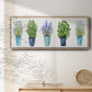 Herbs In A Row - Floater Framed Canvas Print