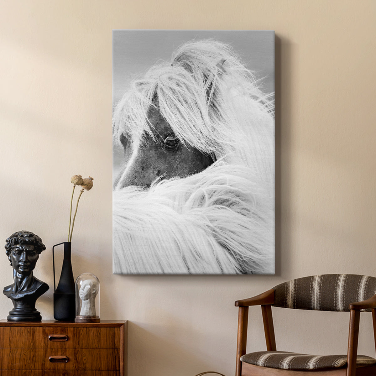 Island Pony II - Canvas Art Print