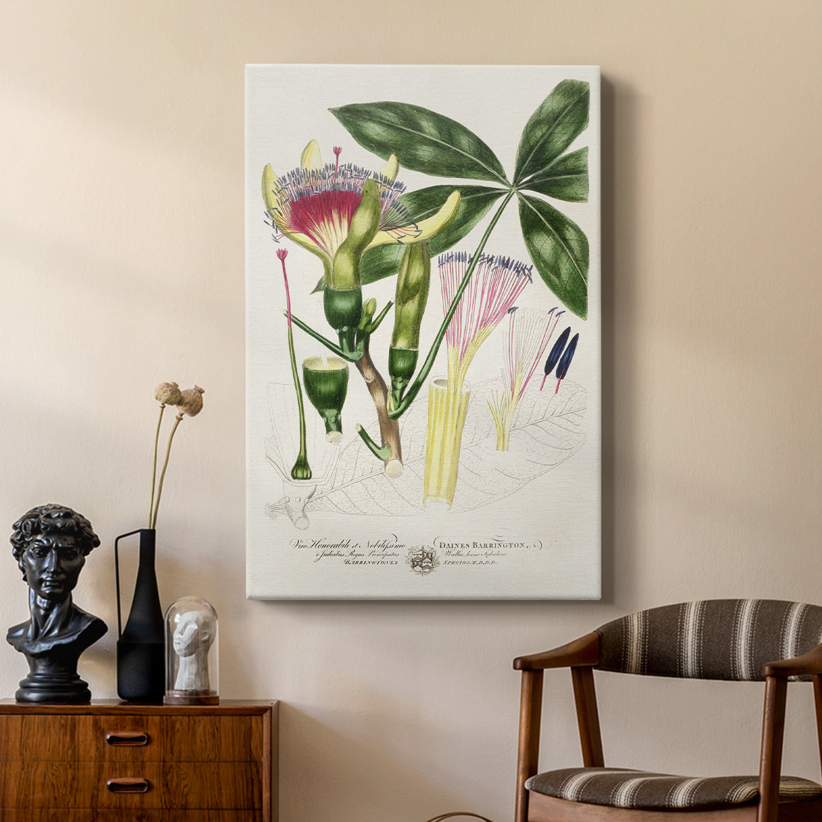 Imperial Tropical Botanical II - Canvas Art Print
