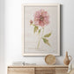 Soft Peony - Premium Canvas Framed in Barnwood - Ready to Hang