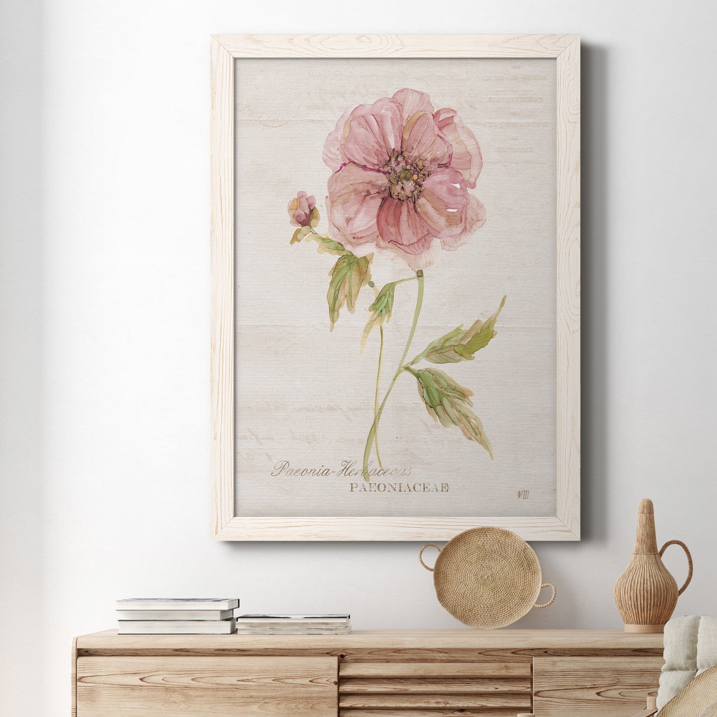 Soft Peony - Premium Canvas Framed in Barnwood - Ready to Hang