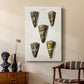 Cone Shell Collection V - Canvas Art Print