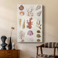Coral & Shell Collage II - Canvas Art Print
