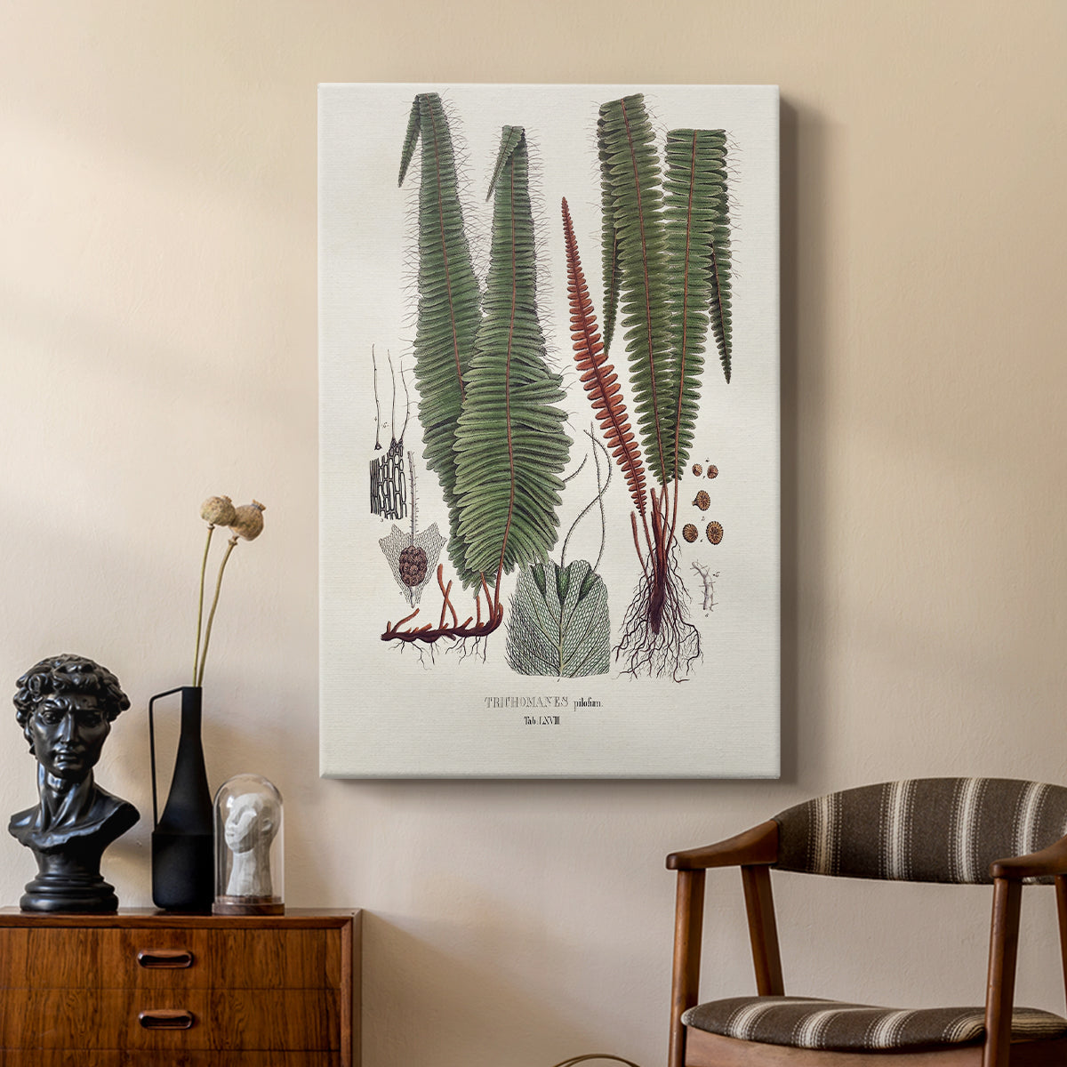 Botanical Society Ferns IV - Canvas Art Print