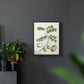 Buchoz Tropicals II - Restickable Framed Art Print