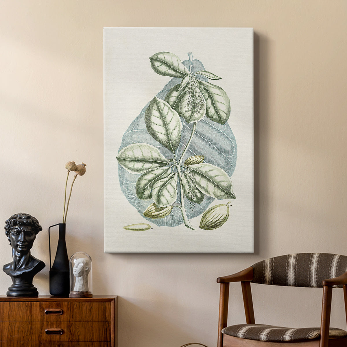 Buchoz Tropicals VI - Canvas Art Print