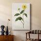 Flowers of the Seasons X - Canvas Art Print