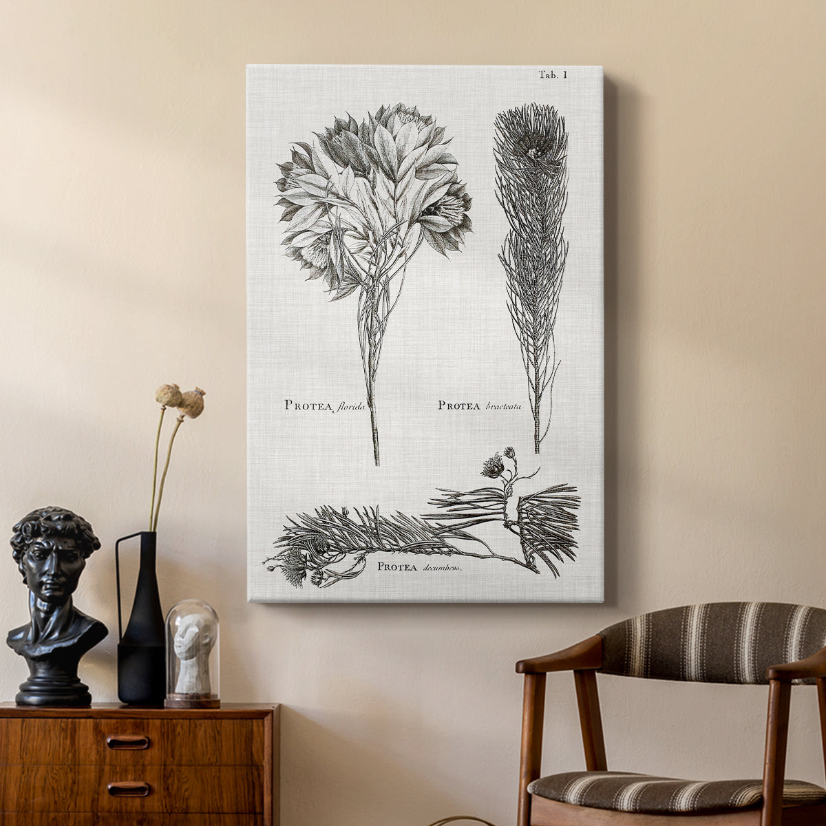 Black & White Protea on Linen I - Canvas Art Print