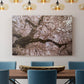 Spring's Arrival - Canvas Art Print