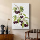 Watercolor Cherries - Canvas Art Print