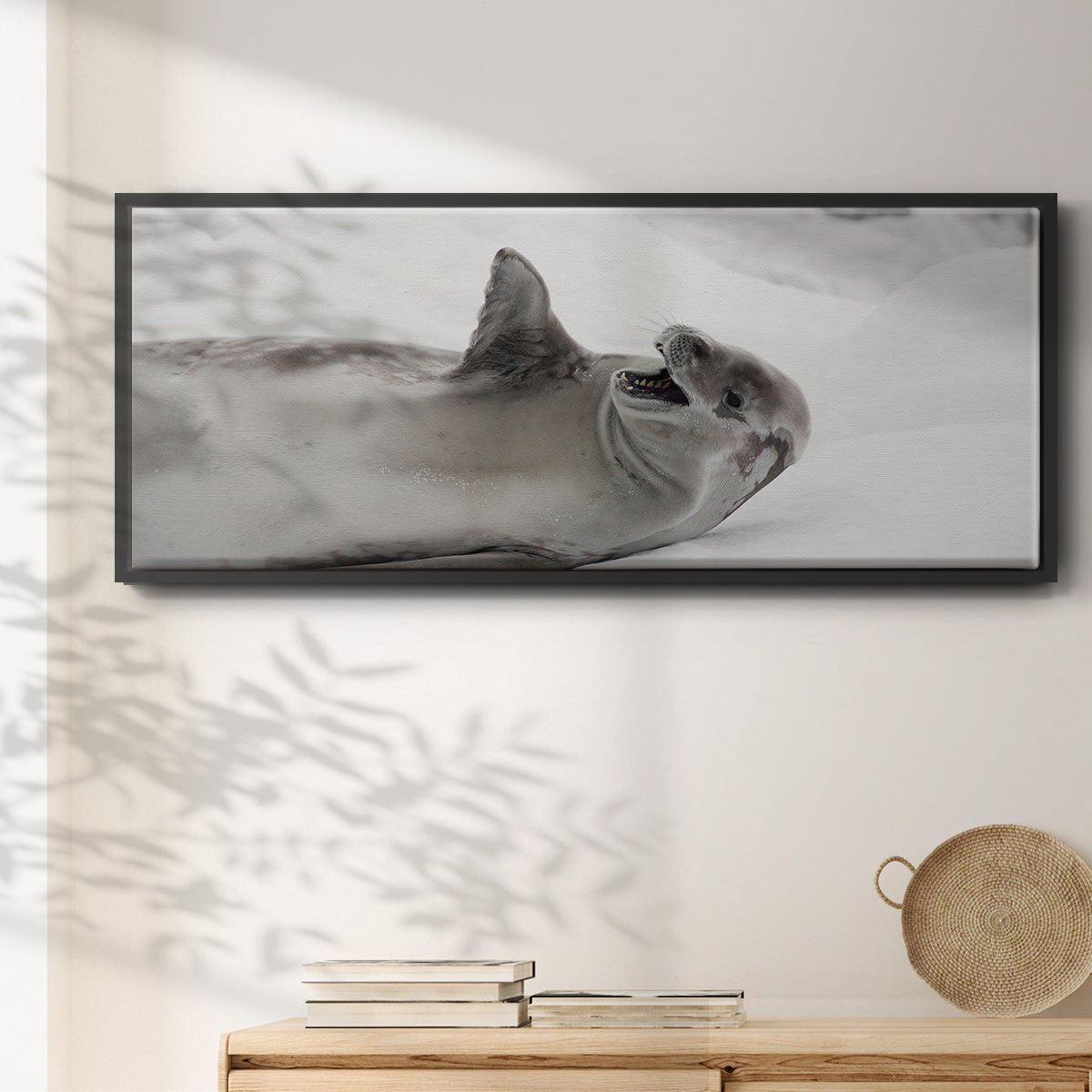 Laughing Seal - Floater Framed Canvas Print