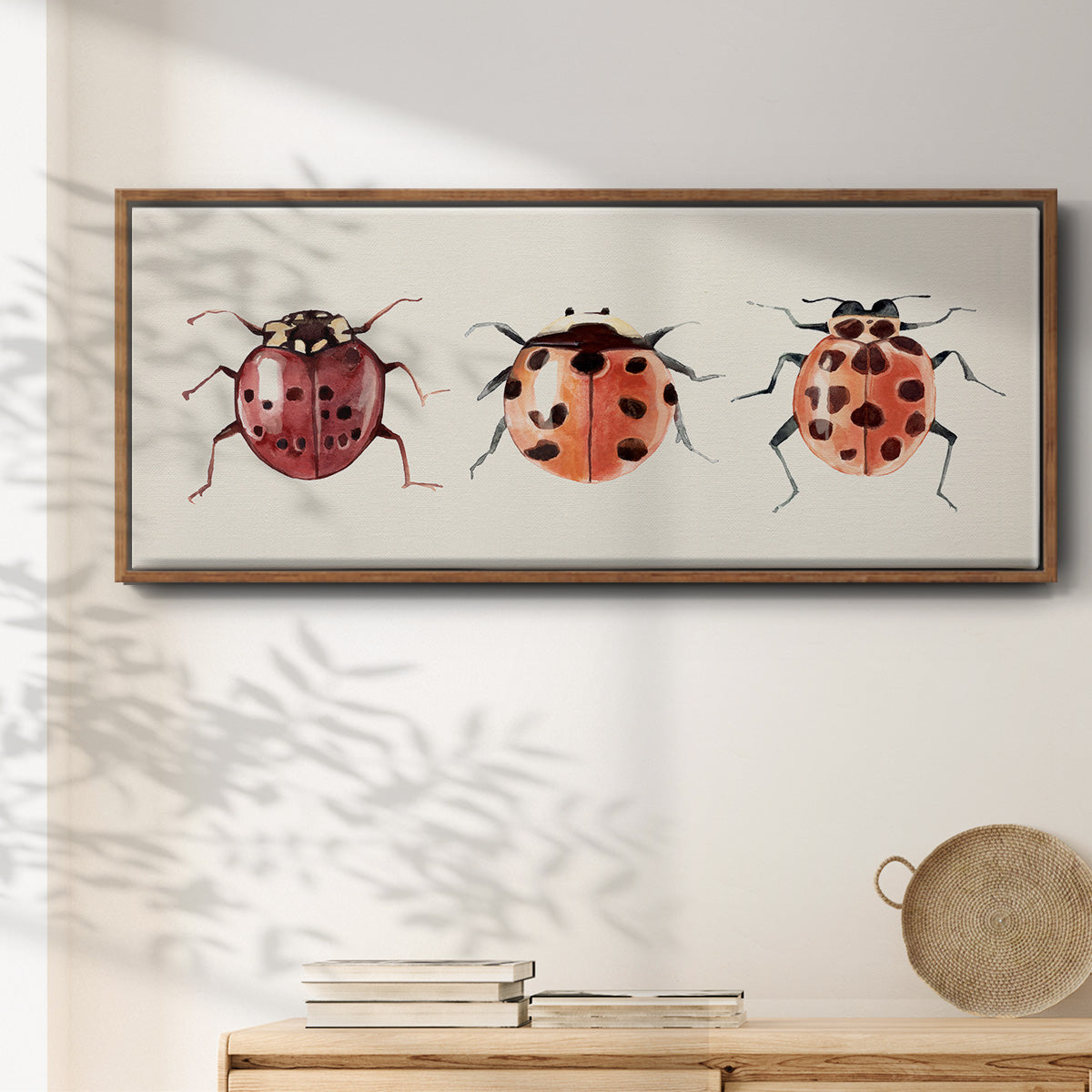 Ladybug Display I - Floater Framed Canvas Print