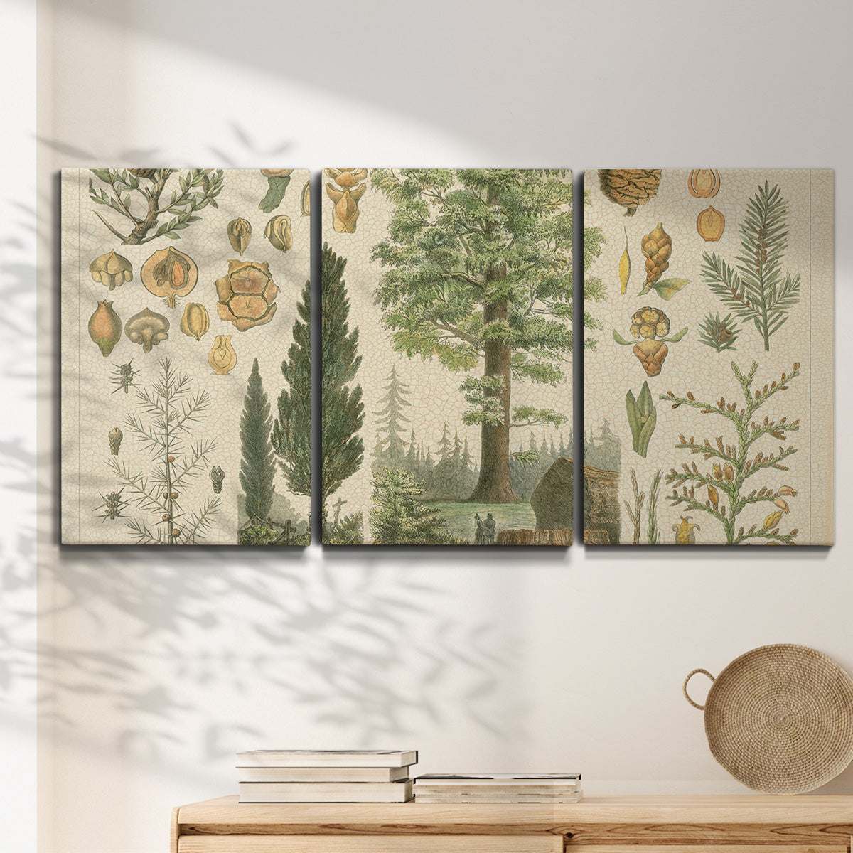 Three-panel canvas wall art featuring vintage floral botanical collage, displayed in a minimalist living room above a console table.