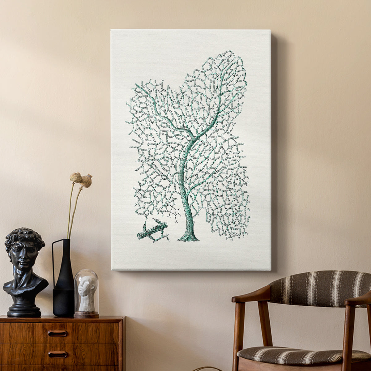 Antique Coastal Coral II - Canvas Art Print