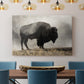 Geyser Basin - Canvas Art Print