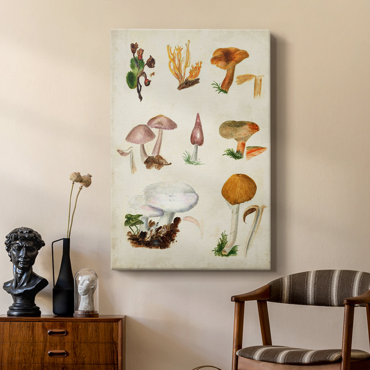 Mushroom Species VI - Canvas Art Print