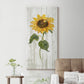 Sunflower in Autumn II - Premium Gallery Wrapped Canvas - Ready to Hang