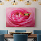 Hanging On VIII - Canvas Art Print