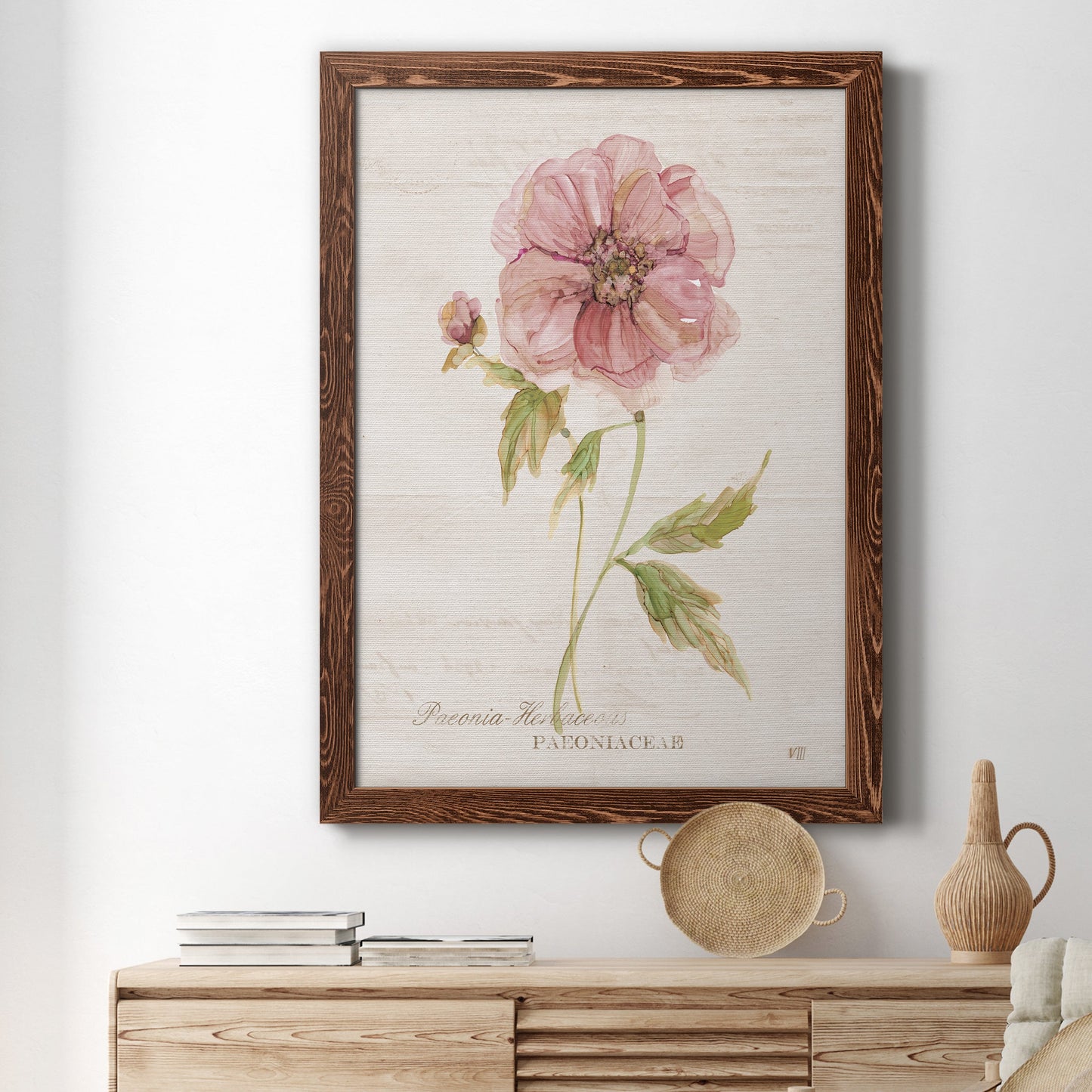 Soft Peony - Premium Canvas Framed in Barnwood - Ready to Hang