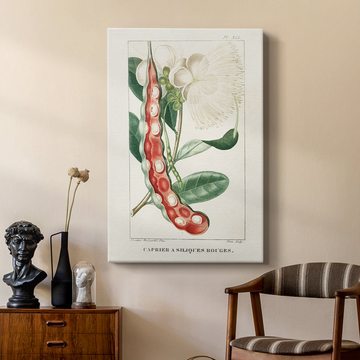 Turpin Tropical Botanicals VIII - Canvas Art Print