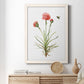 Wildflower Botanical III - Barnwood Framed Canvas Print