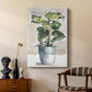 Potted Houseplant II - Canvas Art Print