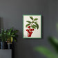 Antique Fruit II - Restickable Framed Art Print