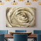 Neutral Wall Flower IV - Canvas Art Print