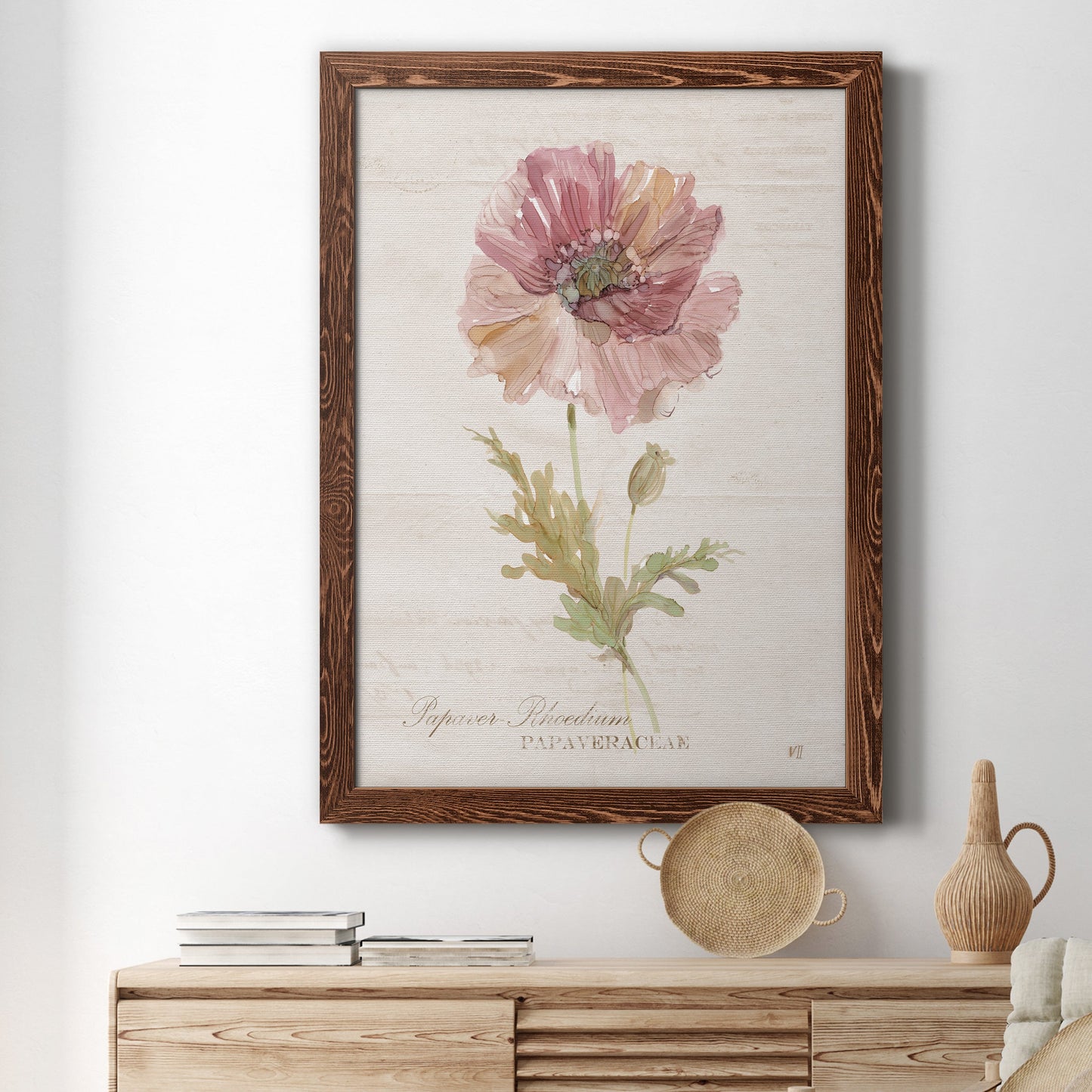 Soft Poppy - Premium Canvas Framed in Barnwood - Ready to Hang