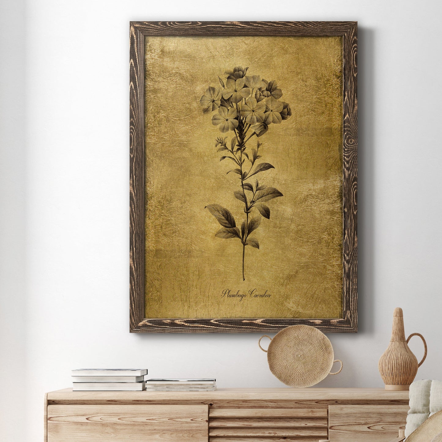 Gold Sketch Botanical II - Barnwood Framed Canvas Print