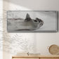Laughing Seal - Floater Framed Canvas Print