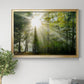 Light and Trees II Premium Classic Framed Canvas - Ready to Hang