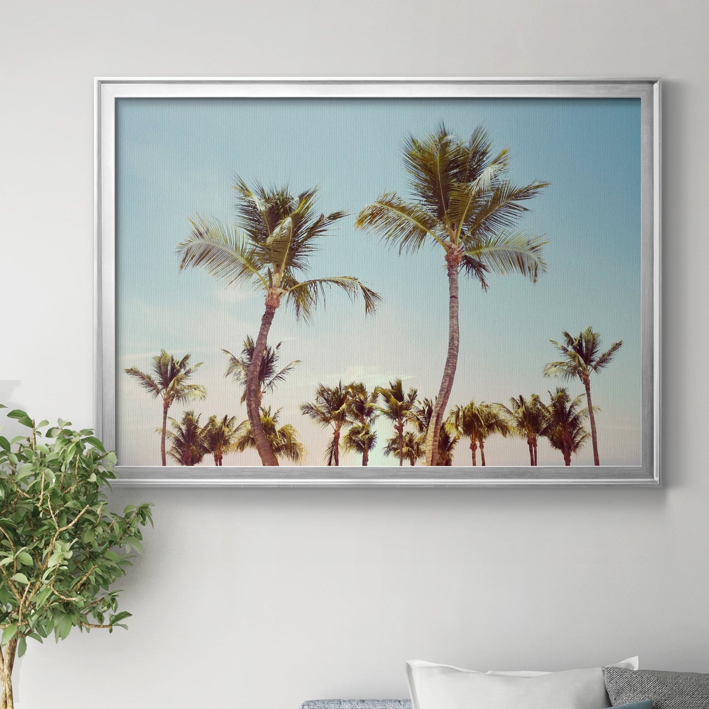Aruba Palm - Modern Framed Canvas Print
