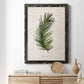 Palm Botanical II - Premium Canvas Framed in Barnwood - Ready to Hang