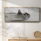 Laughing Seal - Floater Framed Canvas Print