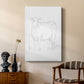 Limousin Cattle II - Canvas Art Print